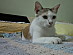 View full size picture