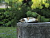 View full size picture