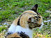 View full size picture