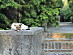 View full size picture