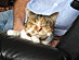 View full size picture
