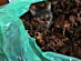 View full size picture
