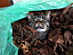 View full size picture