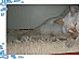 View full size picture