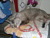 View full size picture