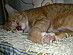 View full size picture