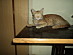 View full size picture