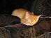 View full size picture