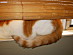 View full size picture