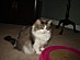 View full size picture