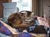 View full size picture