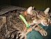 View full size picture
