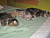 View full size picture