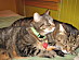 View full size picture