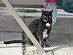 View full size picture