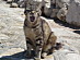 View full size picture