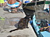 View full size picture