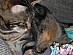 View full size picture