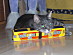 View full size picture