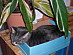 View full size picture
