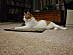 View full size picture