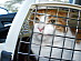 View full size picture