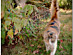 View full size picture