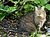 View full size picture