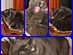 View full size picture