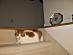 View full size picture