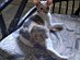 View full size picture