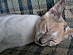 View full size picture