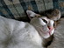 View full size picture