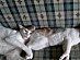 View full size picture