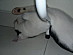 View full size picture
