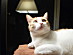 View full size picture