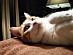 View full size picture