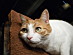 View full size picture