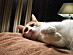 View full size picture