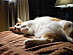 View full size picture