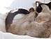 View full size picture