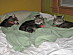 View full size picture