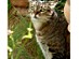 View full size picture