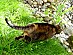 View full size picture