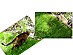 View full size picture