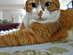 View full size picture