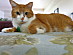 View full size picture