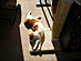 View full size picture