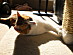 View full size picture