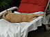 View full size picture